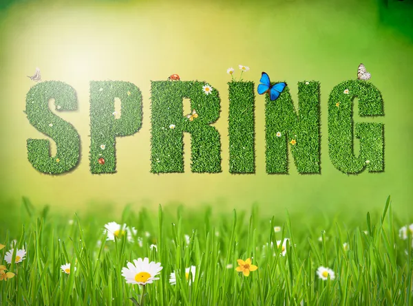 Concetto di parola primavera — Foto Stock