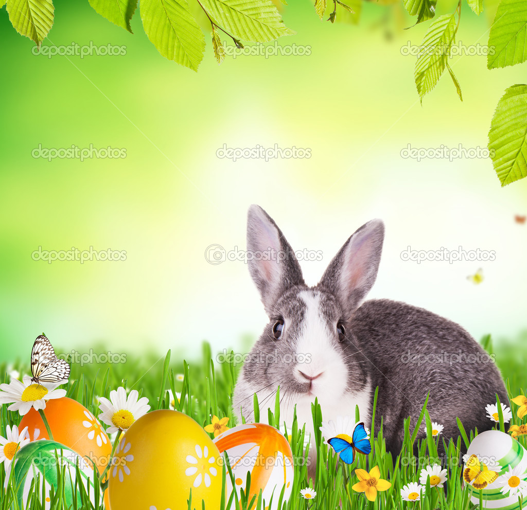 Easter rabbit in grass