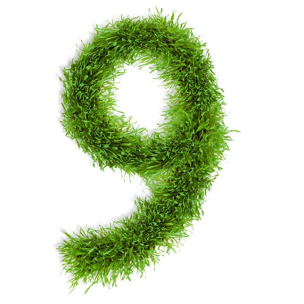 Numărul de iarbă — Fotografie, imagine de stoc