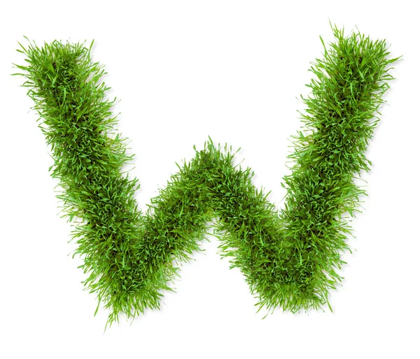 Grass letter — Stock Photo, Image