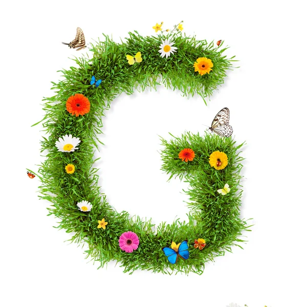 Carta de primavera "G " — Fotografia de Stock