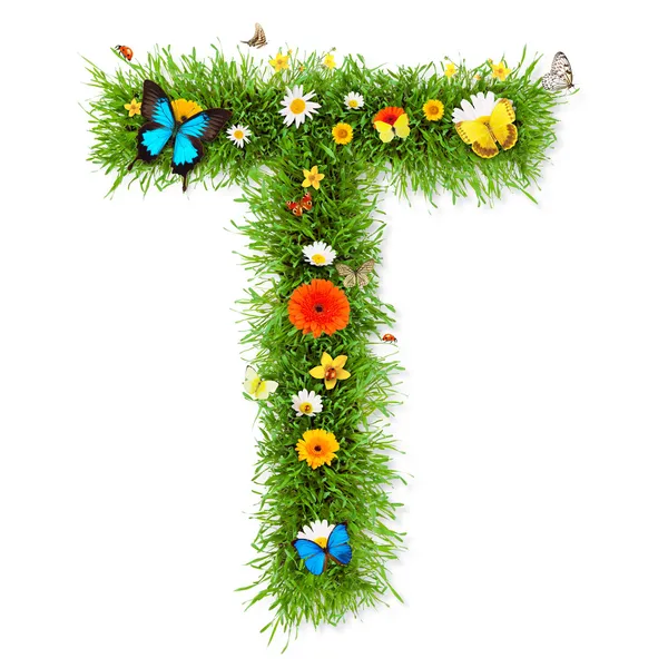 Spring letter "T" — Stock Photo, Image