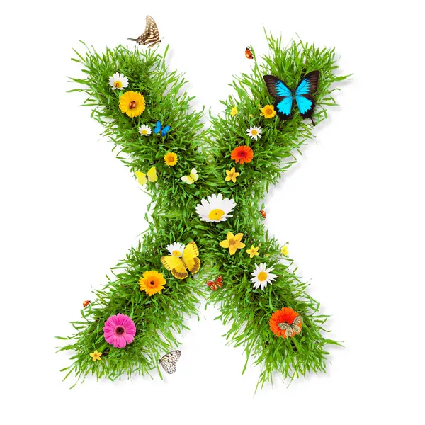 Carta de primavera "X " — Foto de Stock