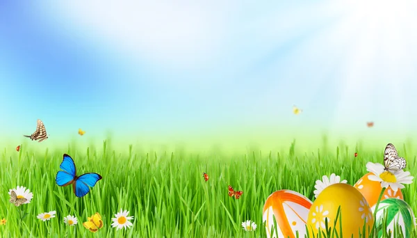 Easter meadow — Stock Photo, Image