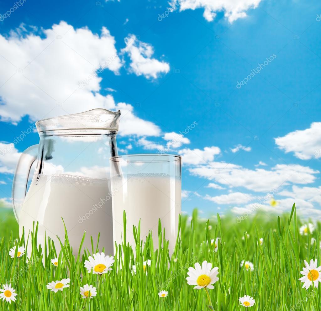 Milk jug with glass in grass