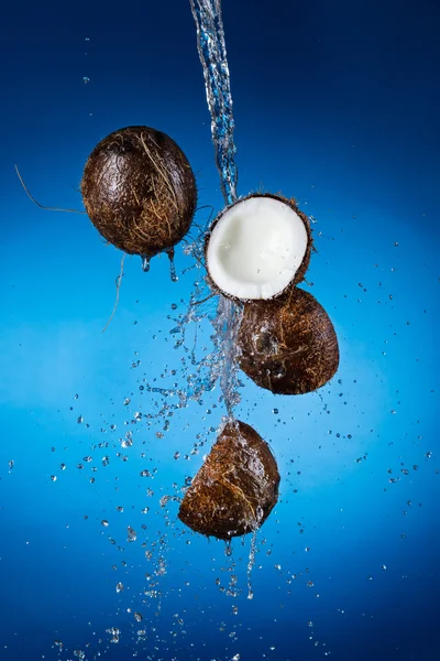 Cracked cocco in spruzzi d'acqua — Foto Stock