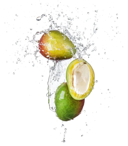 Fresh mango in water splash on white — Stock Photo, Image