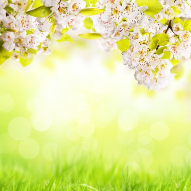 elma çiçekleri ile Paskalya arka plan