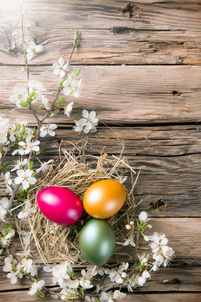 Spring white blossoms with easter eggs — Stock Photo, Image