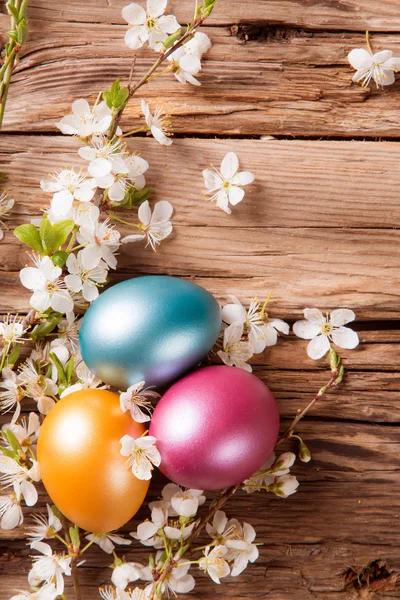 Spring white blossoms with easter eggs — Stock Photo, Image