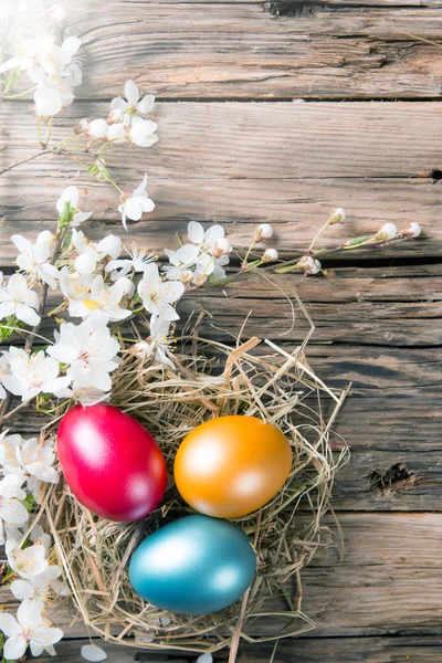 Fiori bianchi primaverili con uova di Pasqua — Foto Stock