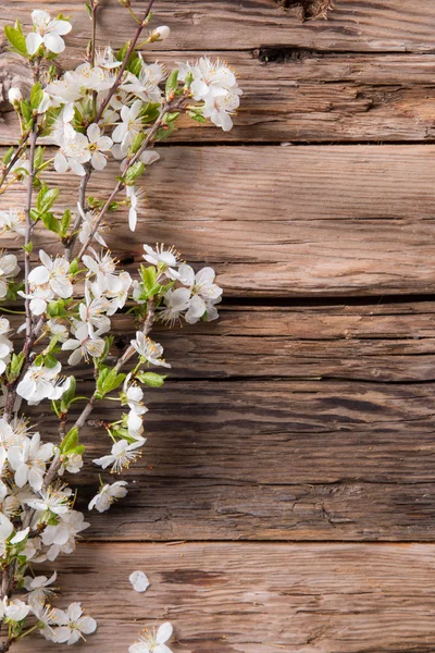 Άσπρα άνθη την άνοιξη στις ξύλινες σανίδες — Φωτογραφία Αρχείου