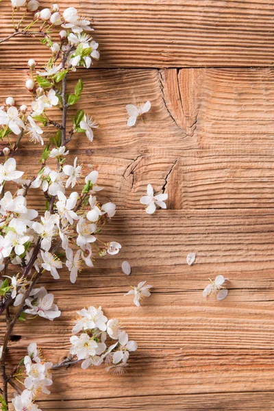 Flores brancas de primavera em pranchas de madeira — Fotografia de Stock