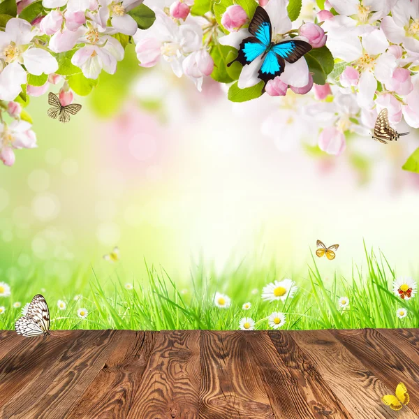 Bahar geçmiş metin için boş alan ile