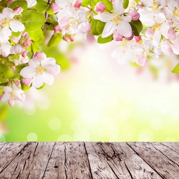 Fundo de primavera com espaço livre para texto — Fotografia de Stock