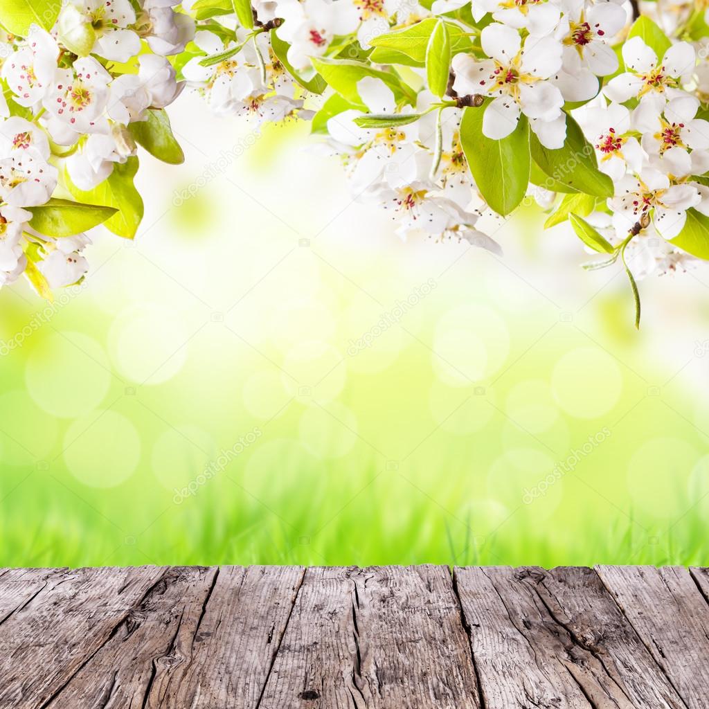 Spring Background With Free Space For Text Stock Photo C Jag Cz