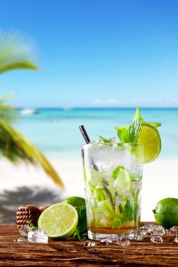 taze mojito tahtaya kokteyl