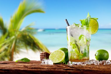 taze mojito tahtaya kokteyl