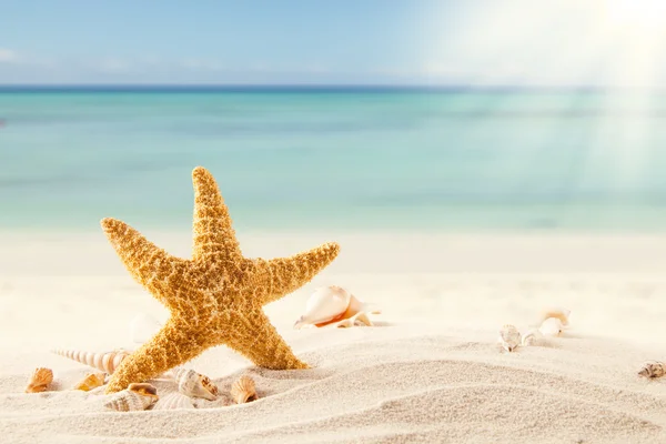 Spiaggia di sabbia — Foto Stock