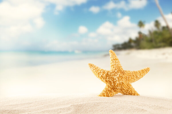 Песчаный пляж
