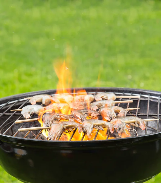 Frische Mahlzeit auf dem Grill — Stockfoto