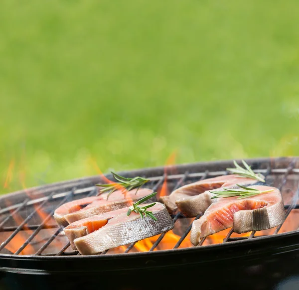 Frische Mahlzeit auf dem Grill — Stockfoto