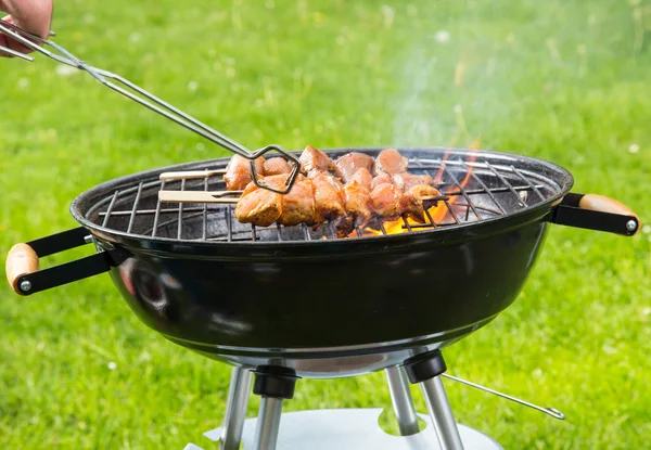 Frische Mahlzeit auf dem Grill — Stockfoto