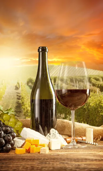 Red wine with vineyard — Stock Photo, Image