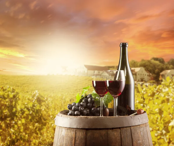 Red wine with vineyard — Stock Photo, Image