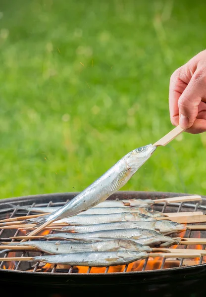 Sardins on grill — Stock Photo, Image