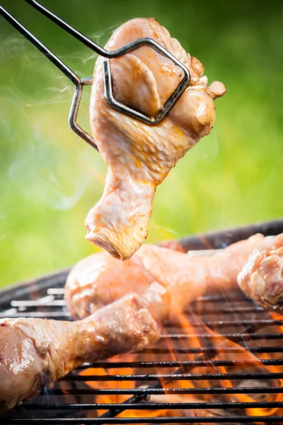 Daging ayam — Stok Foto