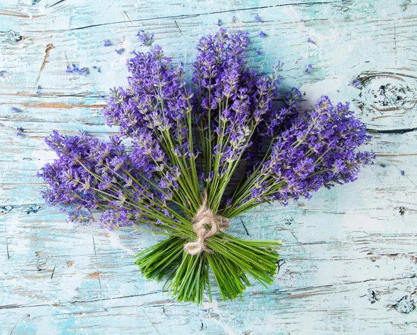 Flores de lavanda — Foto de Stock