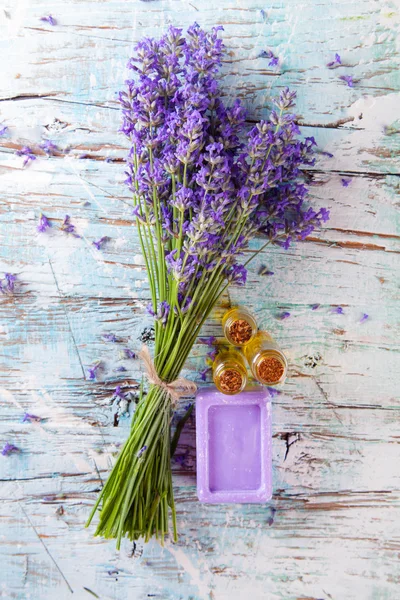Lavendel Blomster - Stock-foto