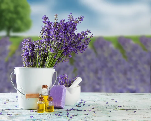 Flores de lavanda — Foto de Stock