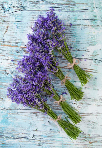 Flores de lavanda — Foto de Stock