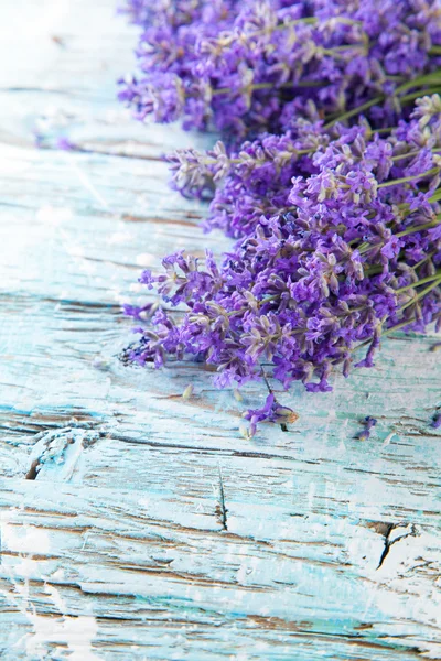 Lavender flowers — Stock Photo, Image