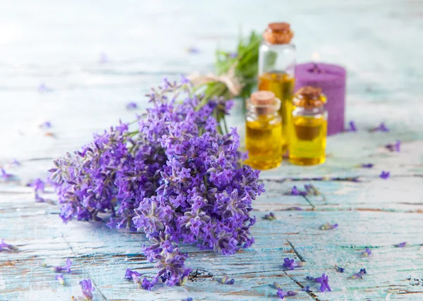 Flores de lavanda — Fotografia de Stock