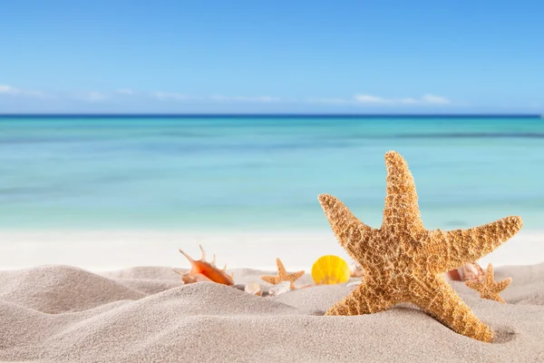 Playa de verano — Foto de Stock