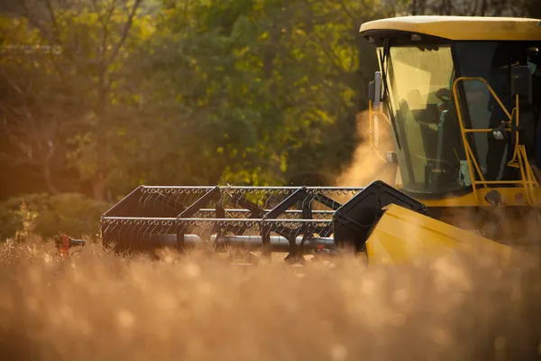 Harvester — Stock Photo, Image