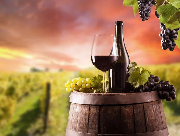 Wine still life — Stock Photo, Image