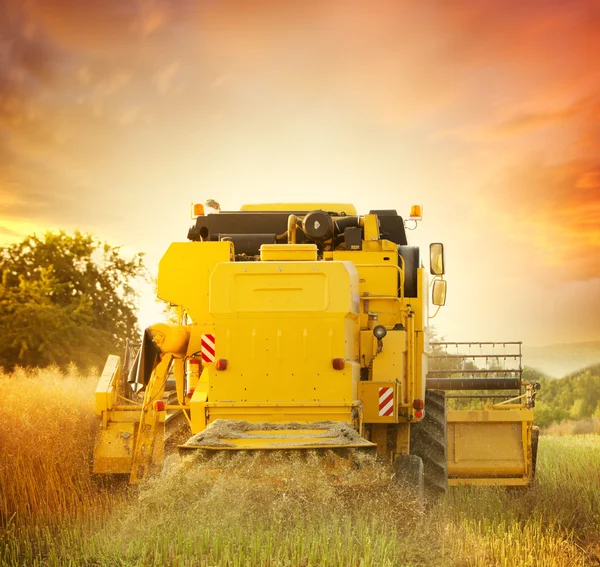 Harvester — Stock Photo, Image