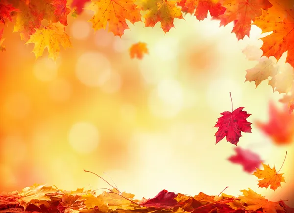 Autumn background — Stock Photo, Image