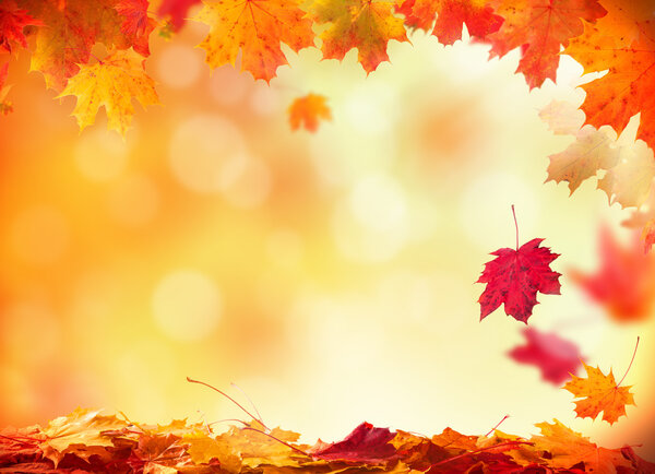 Осенний фон
