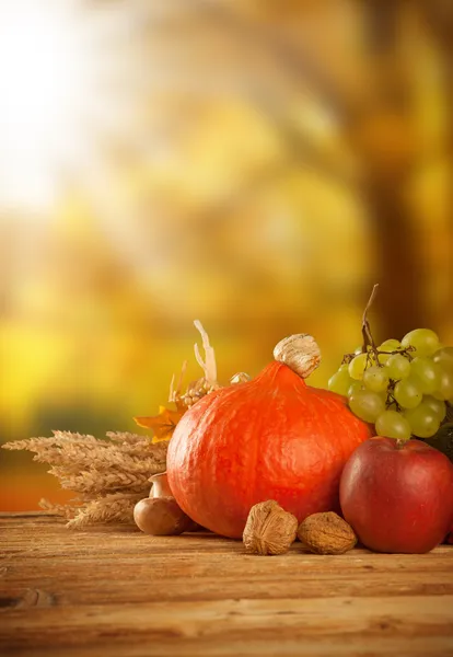 Autumn harvested fruit and vegetable on wood — Stock Photo, Image