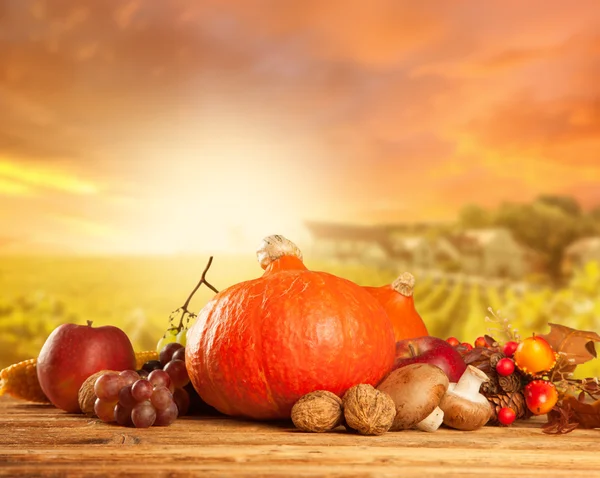 Autumn harvested fruit and vegetable on wood — Stock Photo, Image