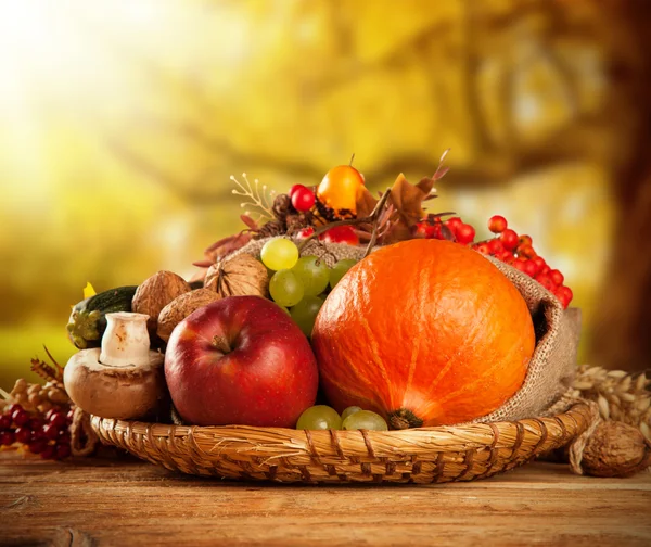 Autumn harvested fruit and vegetable on wood — Stock Photo, Image