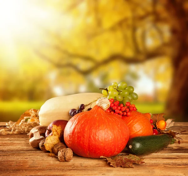 Autumn harvested fruit and vegetable on wood — Stock Photo, Image