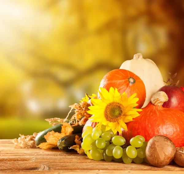 Fruits et légumes récoltés en automne sur bois — Photo