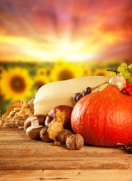 Herbst geerntetes Obst und Gemüse auf Holz — Stockfoto