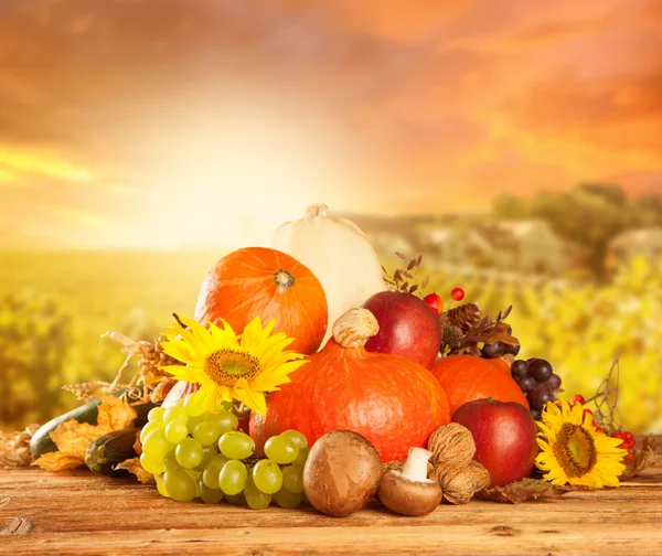 Frutas y hortalizas cosechadas en otoño sobre madera — Foto de Stock